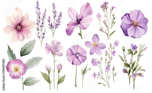Fototapeta Watercolor pastel pink and purple wildflowers clipart, on a white background, with flowers in various poses and green leaves