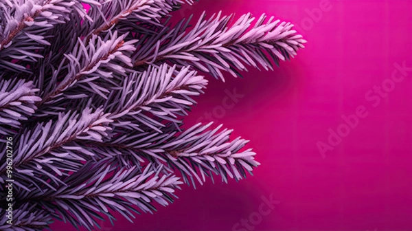 Fototapeta Snowy Christmas tree branches or snowy Christmas fir tree on a magenta background