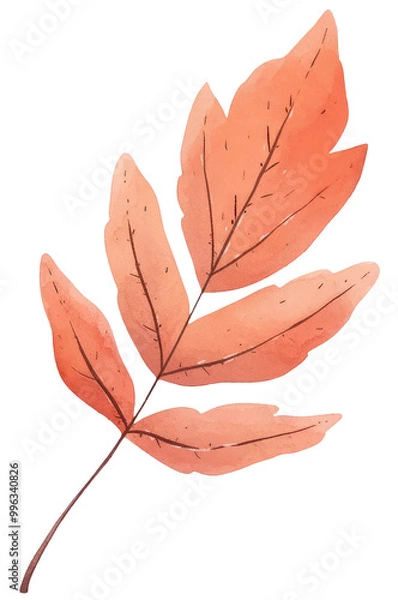 Fototapeta Watercolor autumn leaves isolated on transparent background, colored autumn plants illustrations