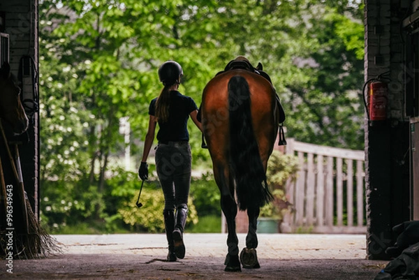 Fototapeta The back of the rider, walking towards the exit with her horse by her side with saddle on, ready to ride
