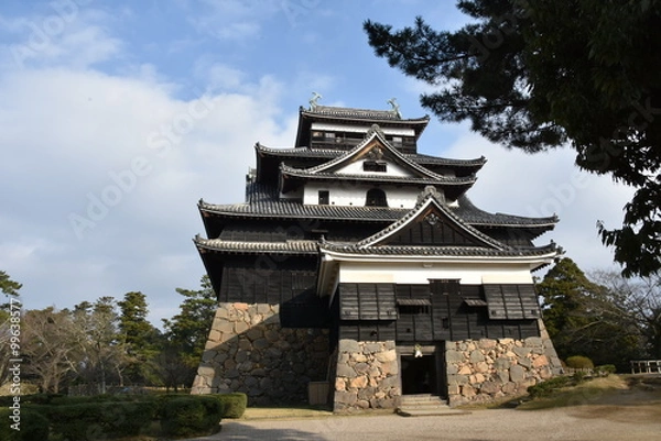 Fototapeta 国宝　松江城