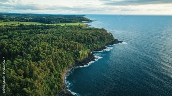 Fototapeta Aerial view of a forest bordering a coastline, with the ocean visible in the background, leaving space for text.