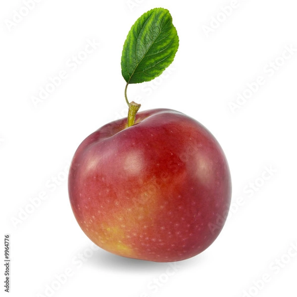 Obraz apple with green leaf