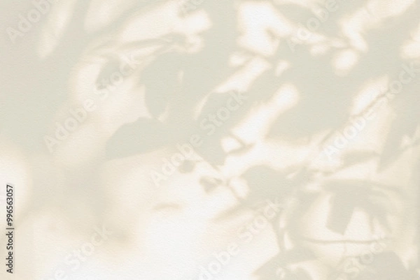 Obraz Leaf shadow and light on wall beige background. Nature tropical gray leaves plant and tree branch shade with sunlight on wall texture for background wallpaper and design, shadow overlay effect