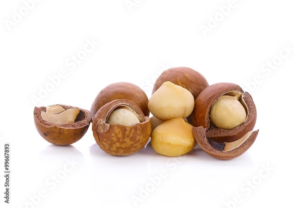 Fototapeta macadamia nuts isolated on white background
