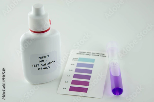 Obraz Nitrite test kit