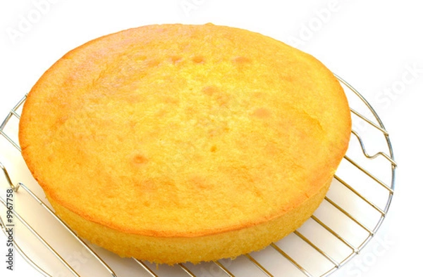Obraz One vanilla cake layer cooling isolated on white