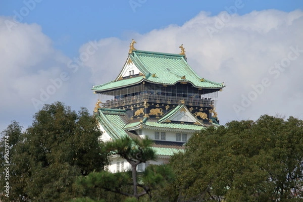 Fototapeta 大阪城