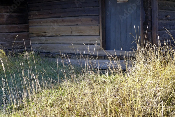 Obraz Autumn grass and timber wall
