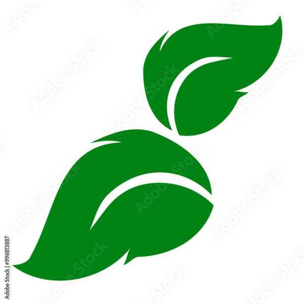 Fototapeta shape collection different green leaves of tree, plants, leaf and swirls branches. Stock vector icon, isolated white background. Element for ecographic, natural design, vegan logo, bio labels