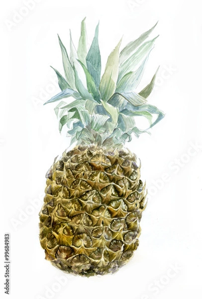 Obraz Watercolor pineapple isolated on white