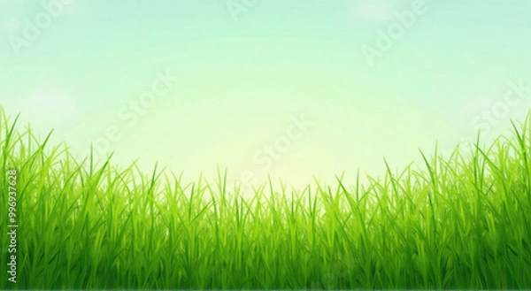 Obraz green grass background