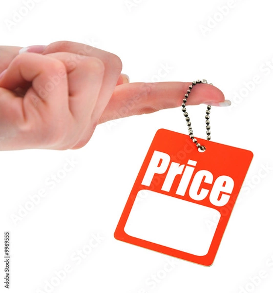 Obraz hand holding blank price tag,