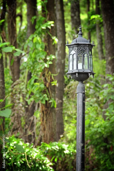 Fototapeta Lamp post in a forest