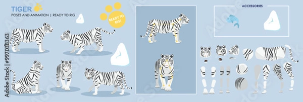 Obraz Cute snow Tiger ready for animation multiple poses set collection with with accessories, rig ready character, zoo, safari animals 