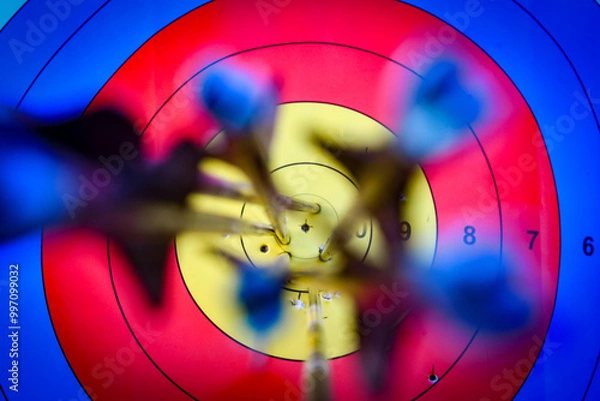 Obraz Archery Target with Arrows