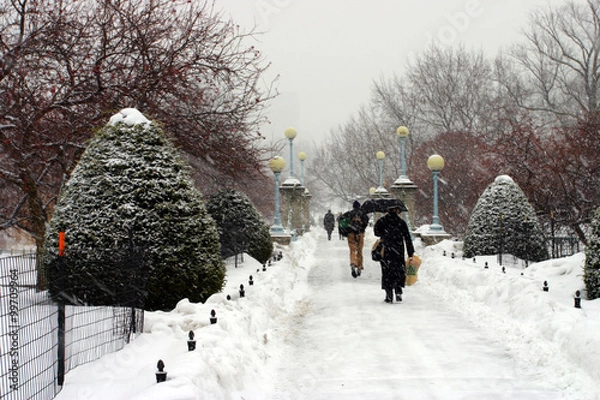 Fototapeta Boston Winter..