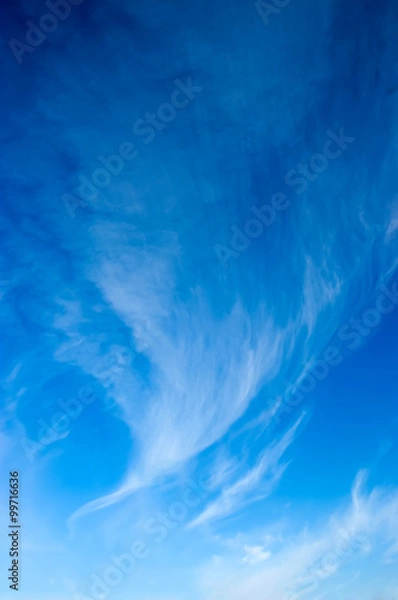 Obraz white clouds the wind blows across the blue sky