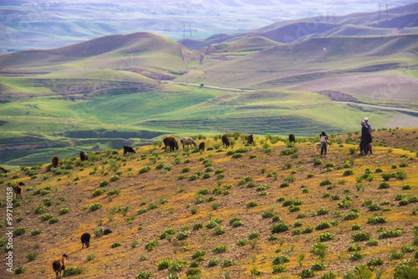 Obraz landscape with mountains