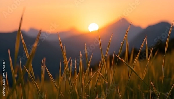 Obraz A close-up shot of delicate blades of grass gently swaying in a meadow, illuminated by the warm, golden-orange light of the setting sun, generative ai