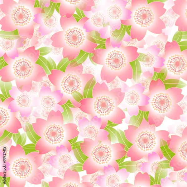 Fototapeta 桜　春　花　背景