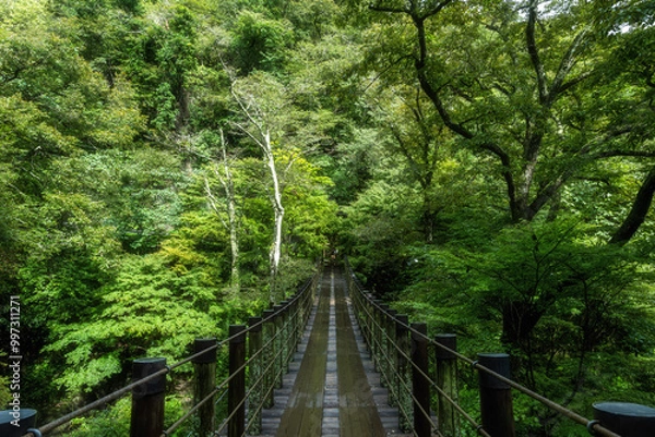 Fototapeta 紅葉が始まった渓谷の吊り橋
