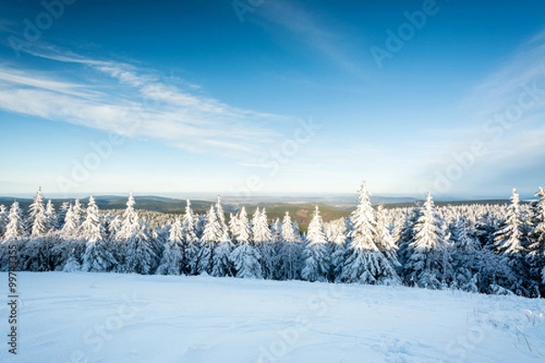 Fototapeta Thüringer Wald - Schneekopf