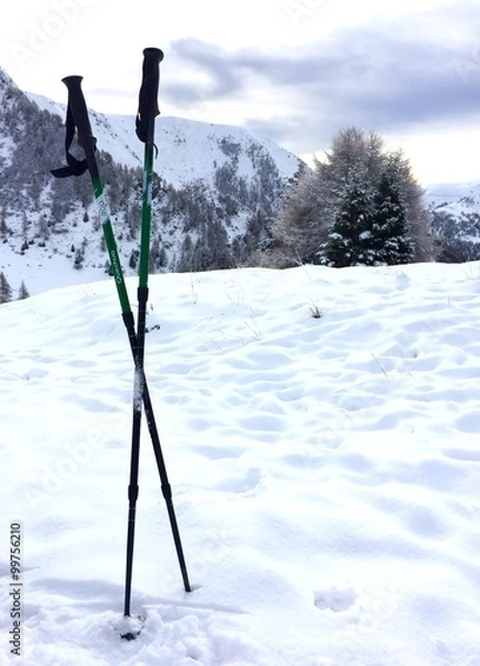 Obraz racchette da sci