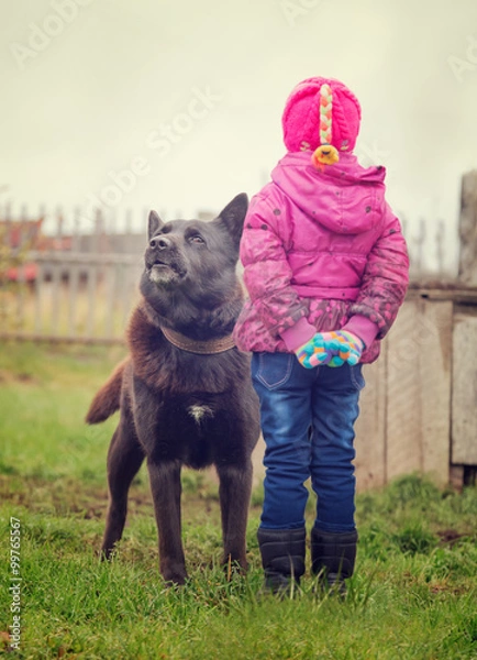 Obraz Angry dog stares at the child.