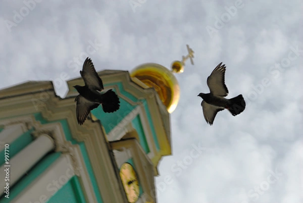 Obraz love in the sky