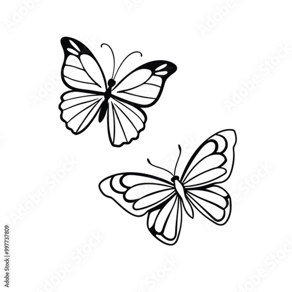 Fototapeta butterfly illustration