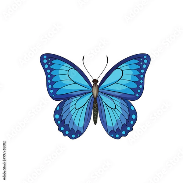 Obraz butterfly isolated on white