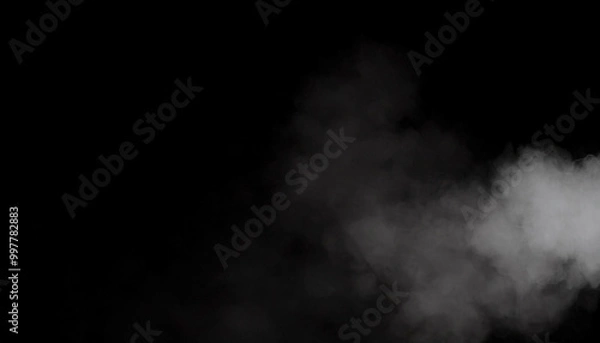 Fototapeta 煙 霧 幻影 影 闇 白 黒 グラデーション ミステリー 幻想 夢 幽霊 影絵 ぼんやり 霞 静寂 無音 空虚 混沌 変幻
