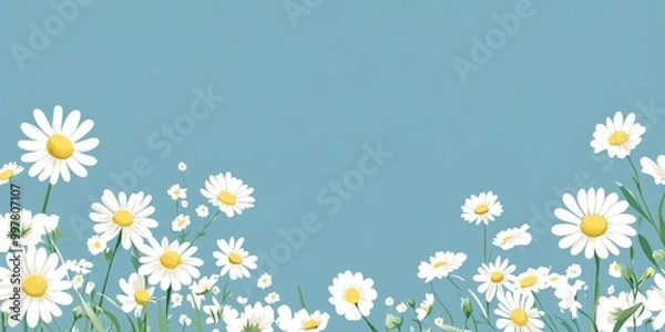 Obraz Chamomile and blue background.
