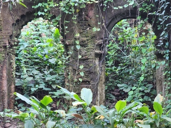 Obraz Green Trees Through a Broken Doorway