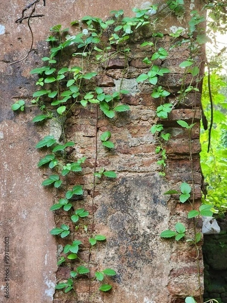 Obraz Historic Broken King’s House Ruins from 19th Century