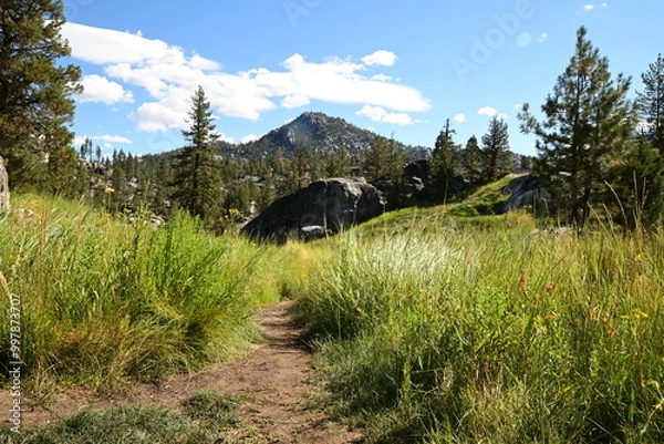 Fototapeta Path to Peak