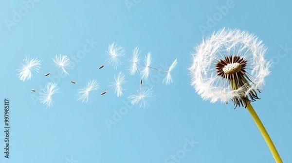 Obraz Dandelion seeds floating in the sky against a clear blue background