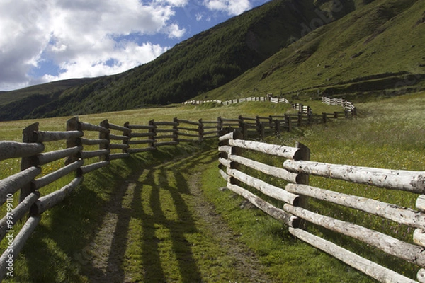 Obraz staccionata in legno