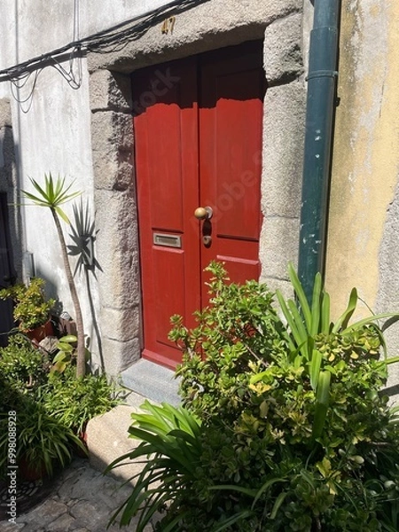 Obraz Red door