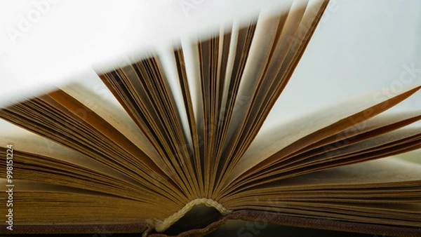 Fototapeta Open pages of an old book on a light background.