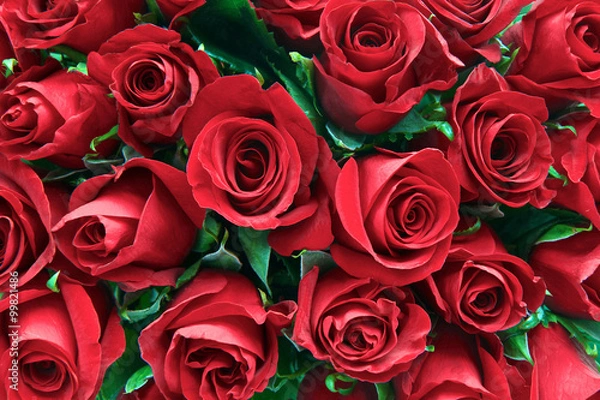 Obraz Red roses