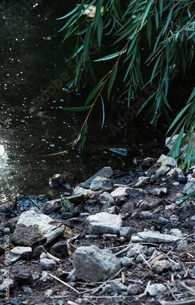 Obraz river in the forest
