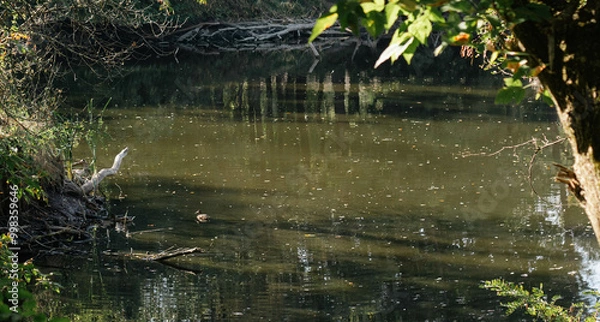Fototapeta water, sea, blue, wave, surface, lake, ocean, abstract, nature, ripple, ripples, texture, waves, reflection, liquid, wet, river, pattern, calm, backgrounds, summer, nobody, pool, clean, aqua