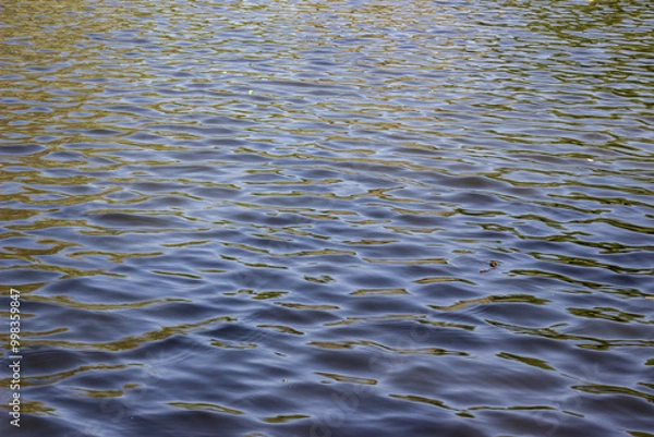 Fototapeta ripples in the water