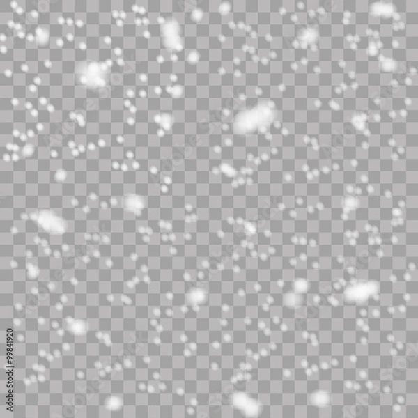 Fototapeta Isolated Falling Snow Overlay 