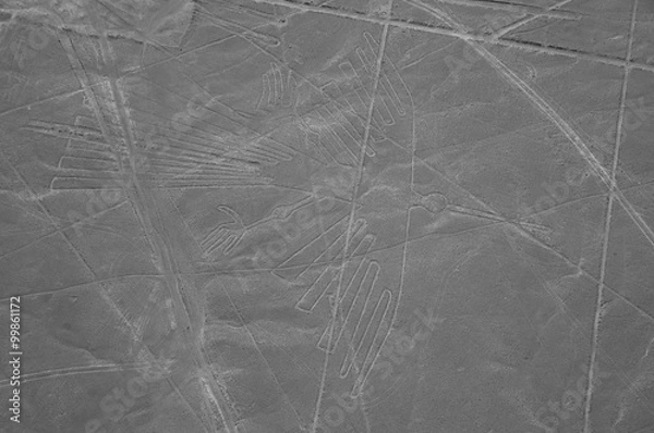 Fototapeta The Condor - Nasca Lines - Peru