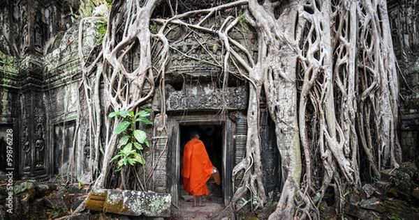 Fototapeta Mnich w Angkor Wat w Kambodży. Ta Prohm Khmer starożytna świątynia buddyjska w lesie dżungli