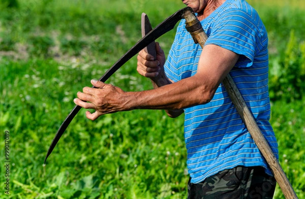 Fototapeta mowing grass traditional old-fashioned way with hand scythe on household village farm. young mature farmer man sharpening the scythe with grass or whetstone for mowing the grown weed of a farmland