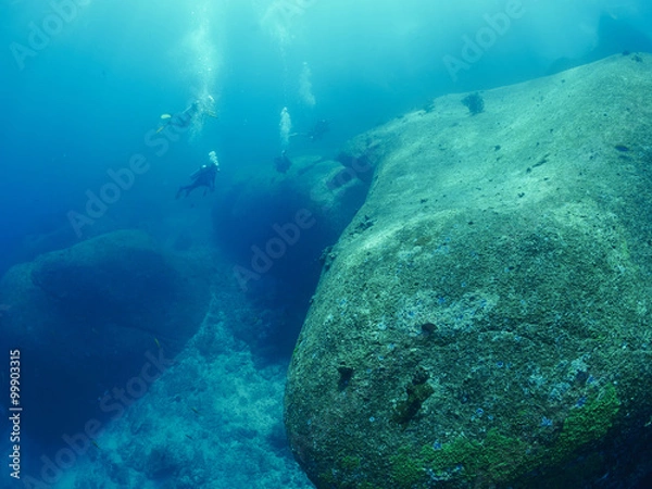 Obraz diver wtih reef caral